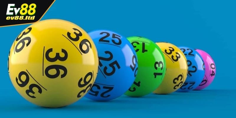 Chi tiết thông tin về bạch thủ lô cho anh em mới 